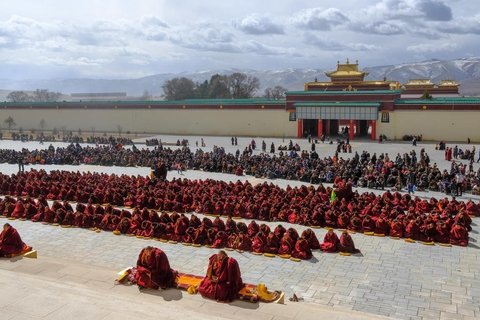 Gomang monastery Monlam festival prayer ceremony